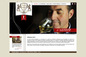 Domaine Dominique Salmon producteur de vin a Chateau Thebaud